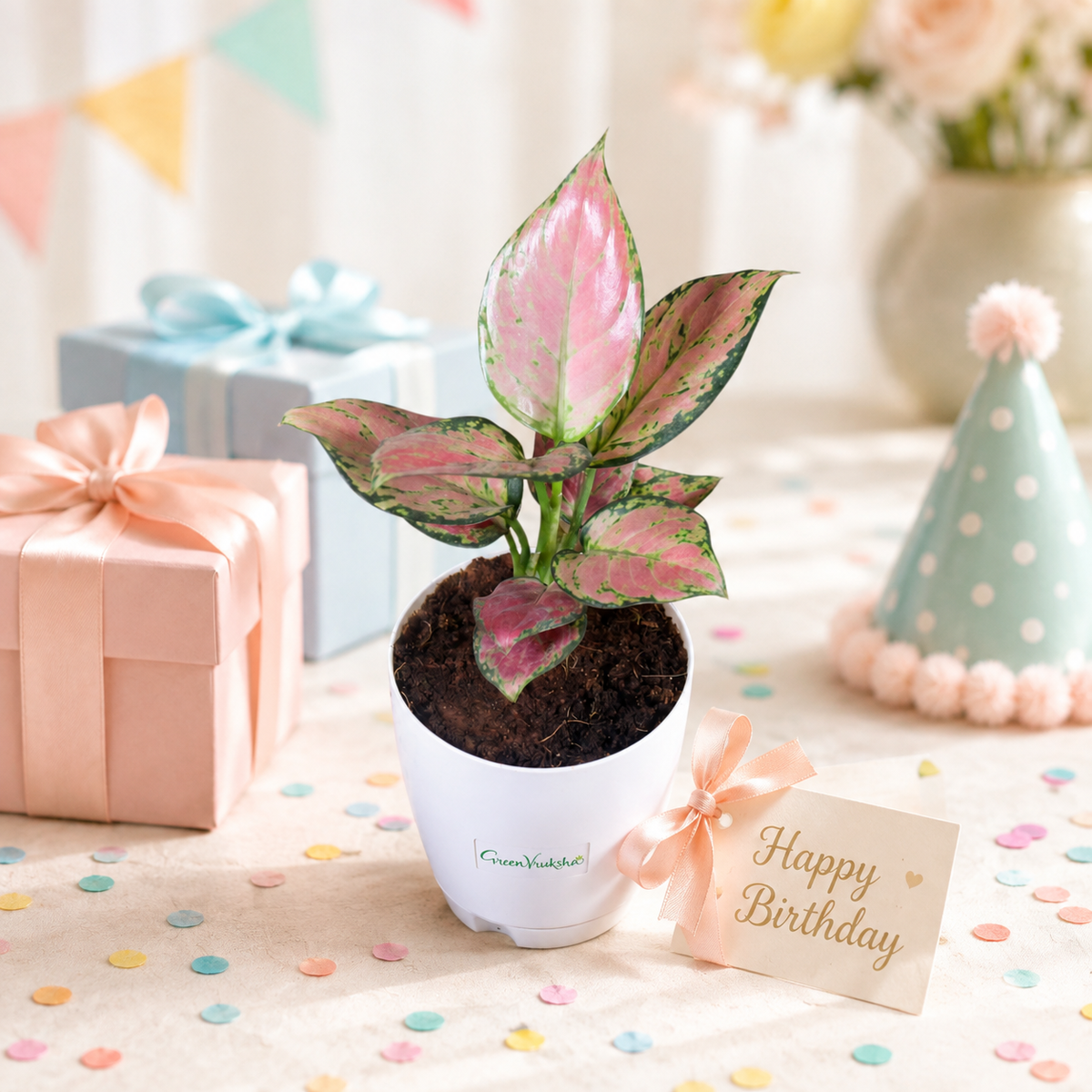 Birthday Plant Gifts