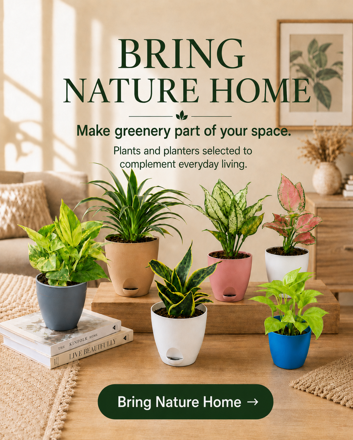 Plant & Planter Sets