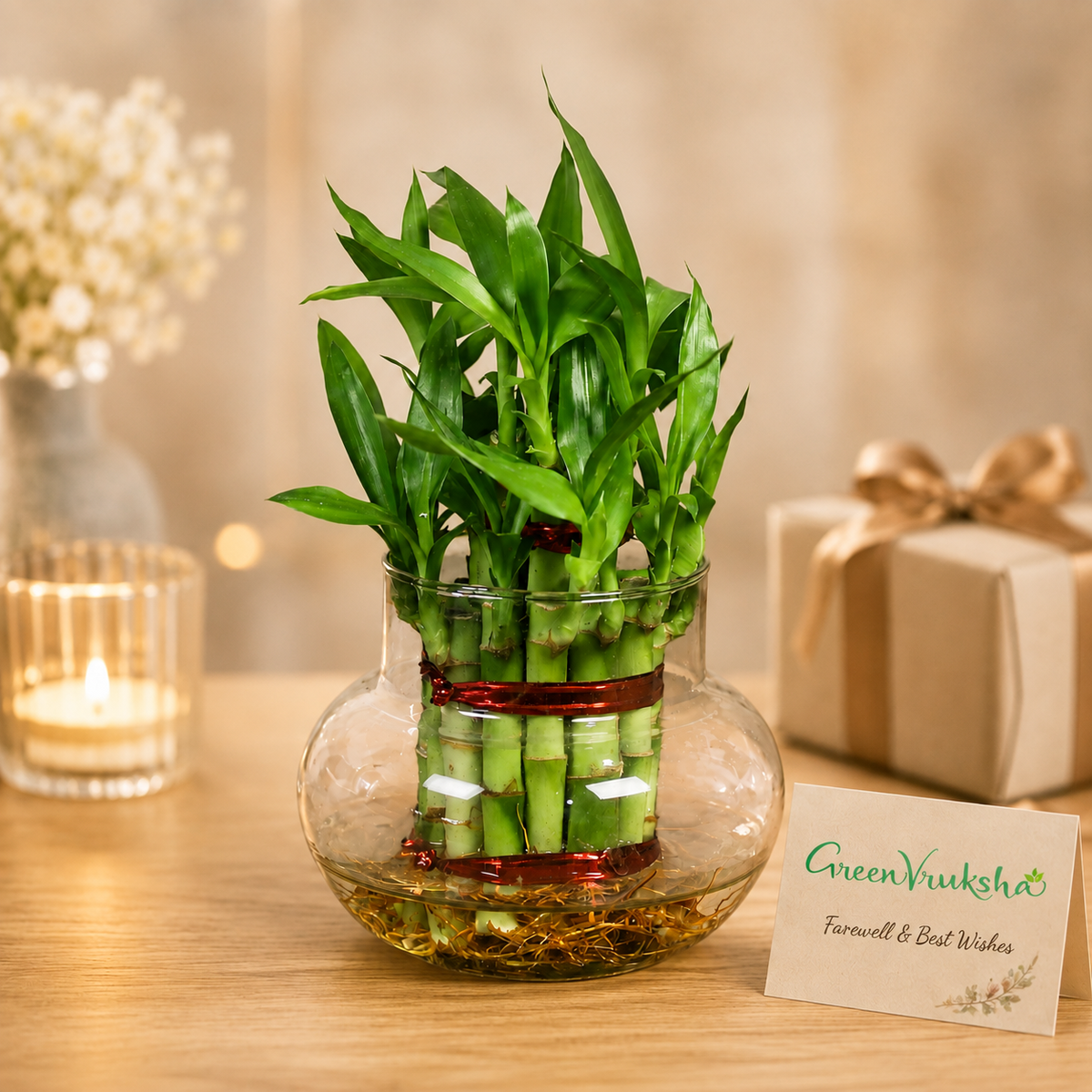 Farewell Plant Gifts