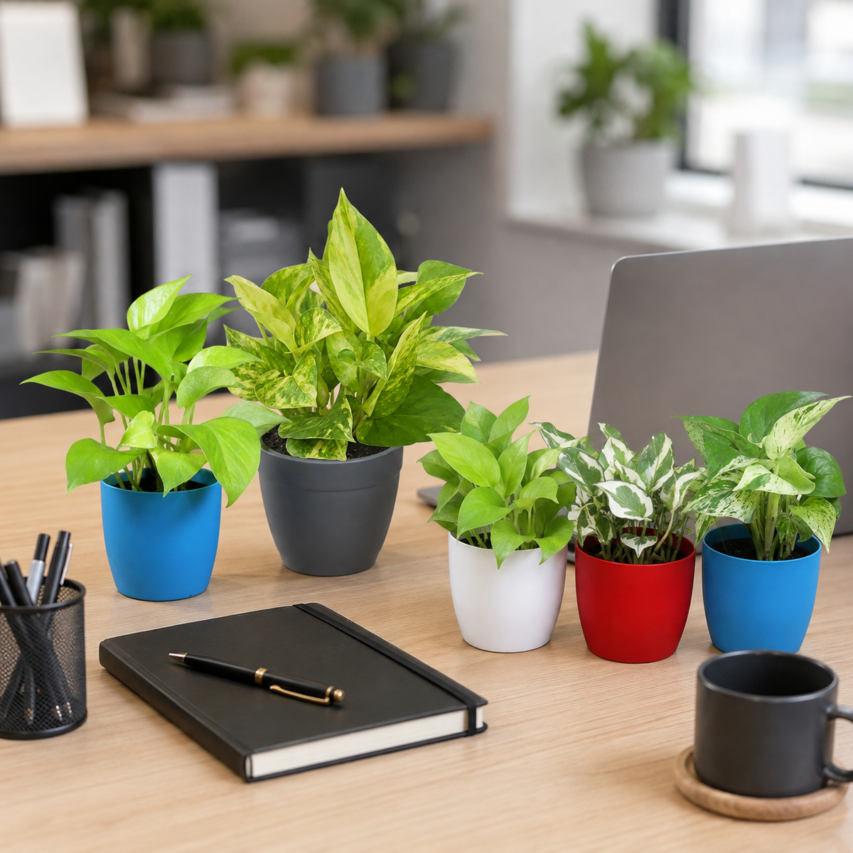 Office Desk Combos