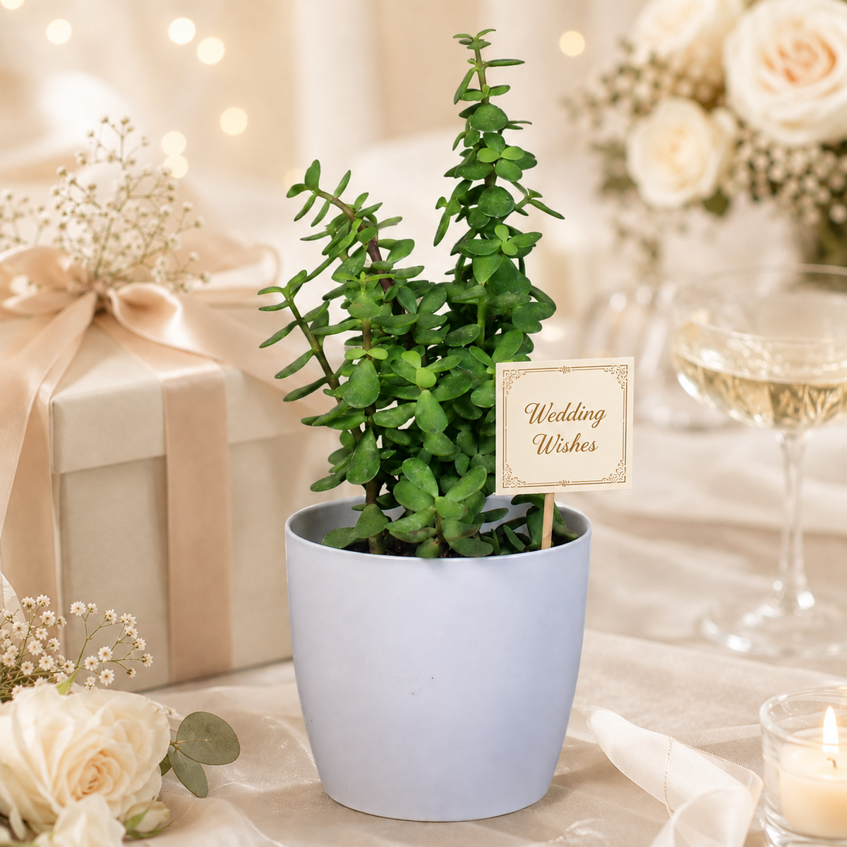 Wedding Plant Gifts