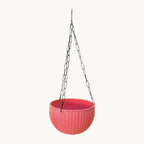 6 Inch Rattan Hanging Basket Planter