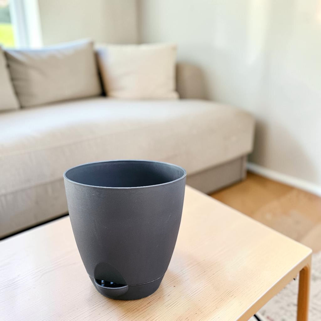 Aqua Pot