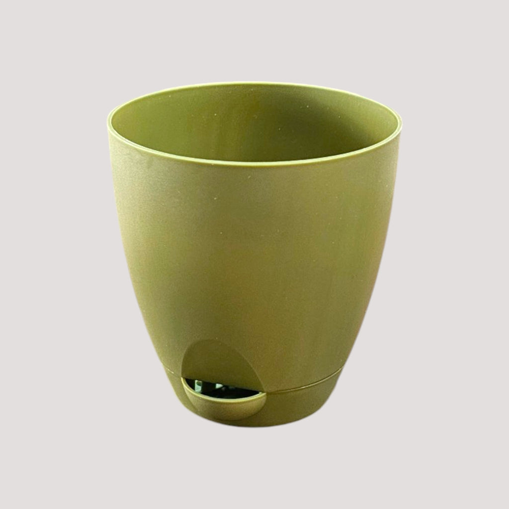 Aqua Pot