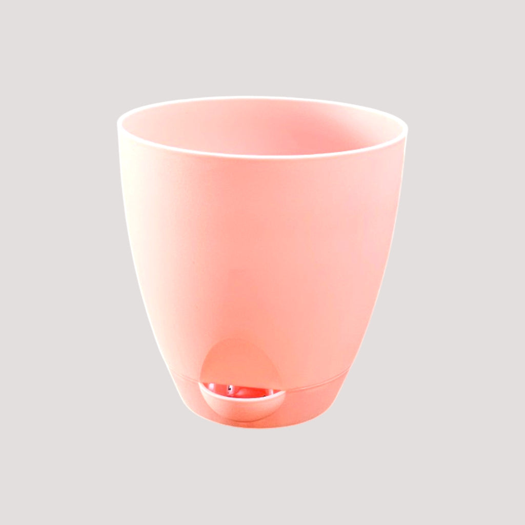 Aqua Pot