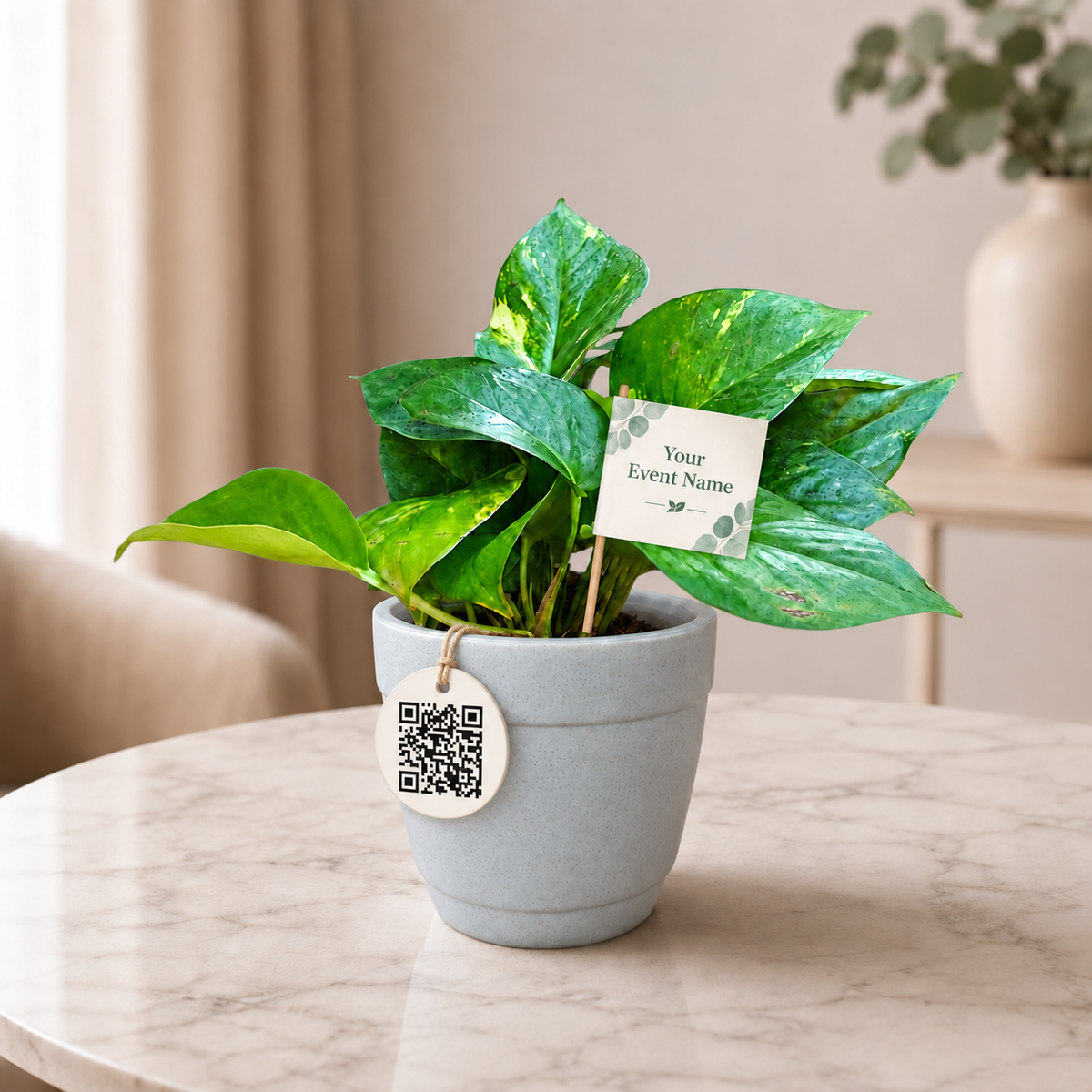 Delegate Desk Green – Money Plant Green Conference Gift