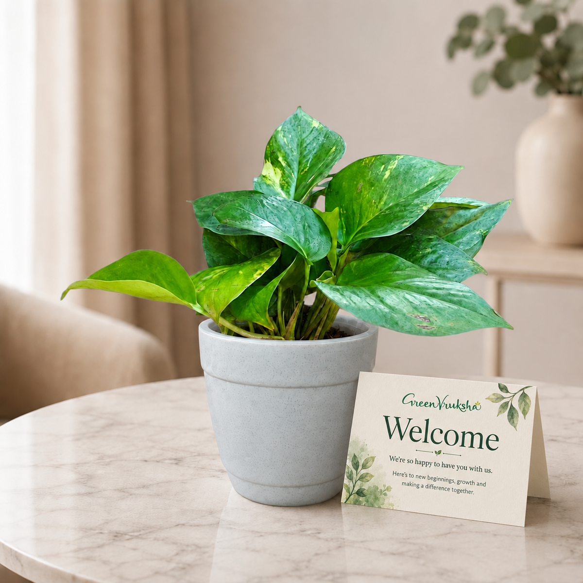 Desk Start – Money Plant Green Employee Welcome Kit