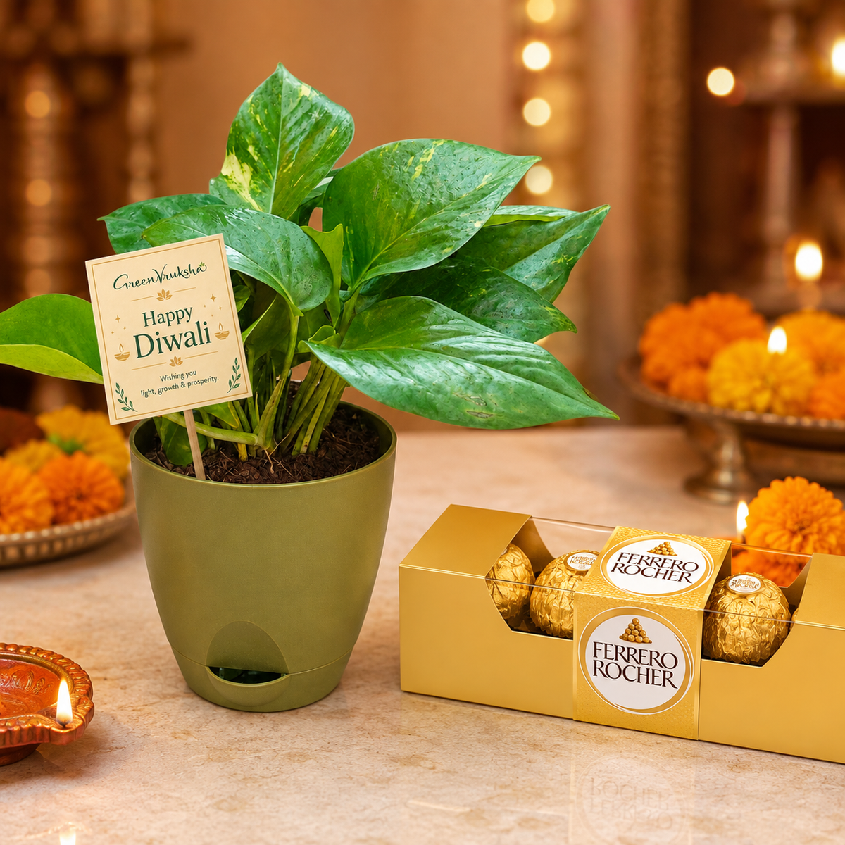 Diwali Desk Fortune – Money Plant Green & Chocolate Gift