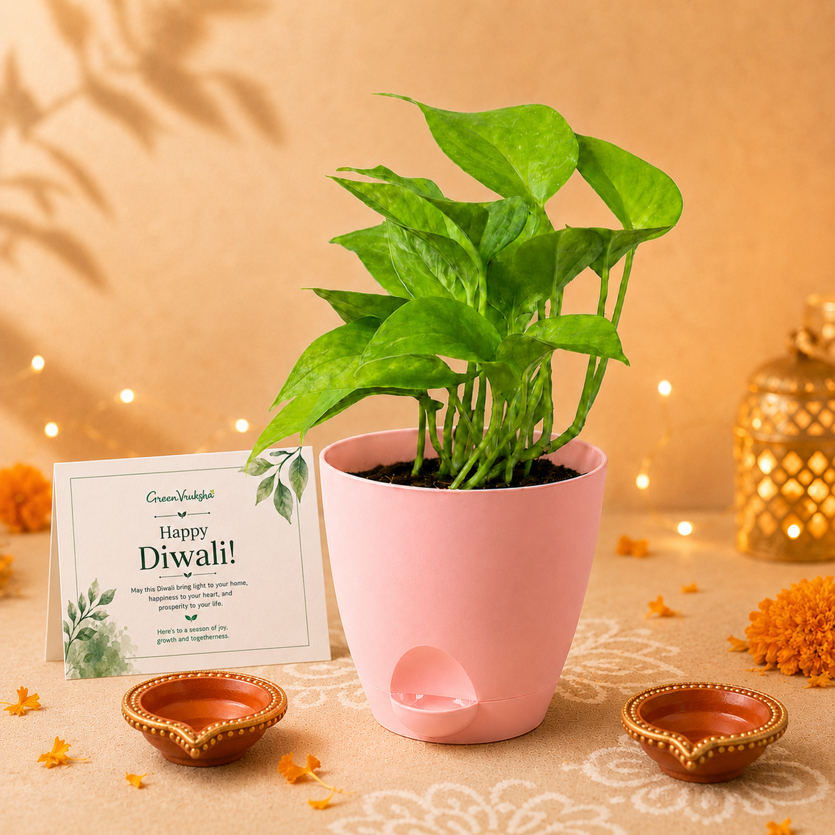Diwali Green Glow – Money Plant Golden & Diya Gift