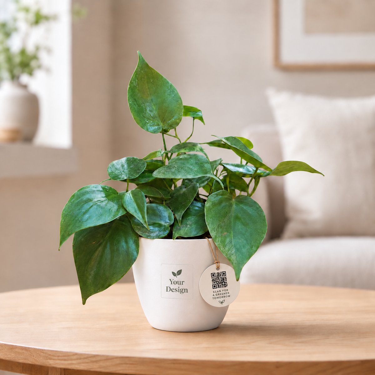Expo Leaf – Oxycardium Green Branded Giveaway