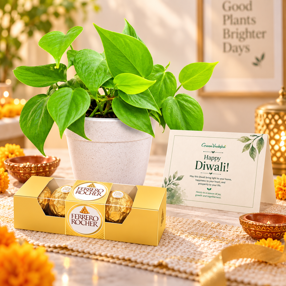 Festive Gold – Oxycardium Golden & Chocolate Gift