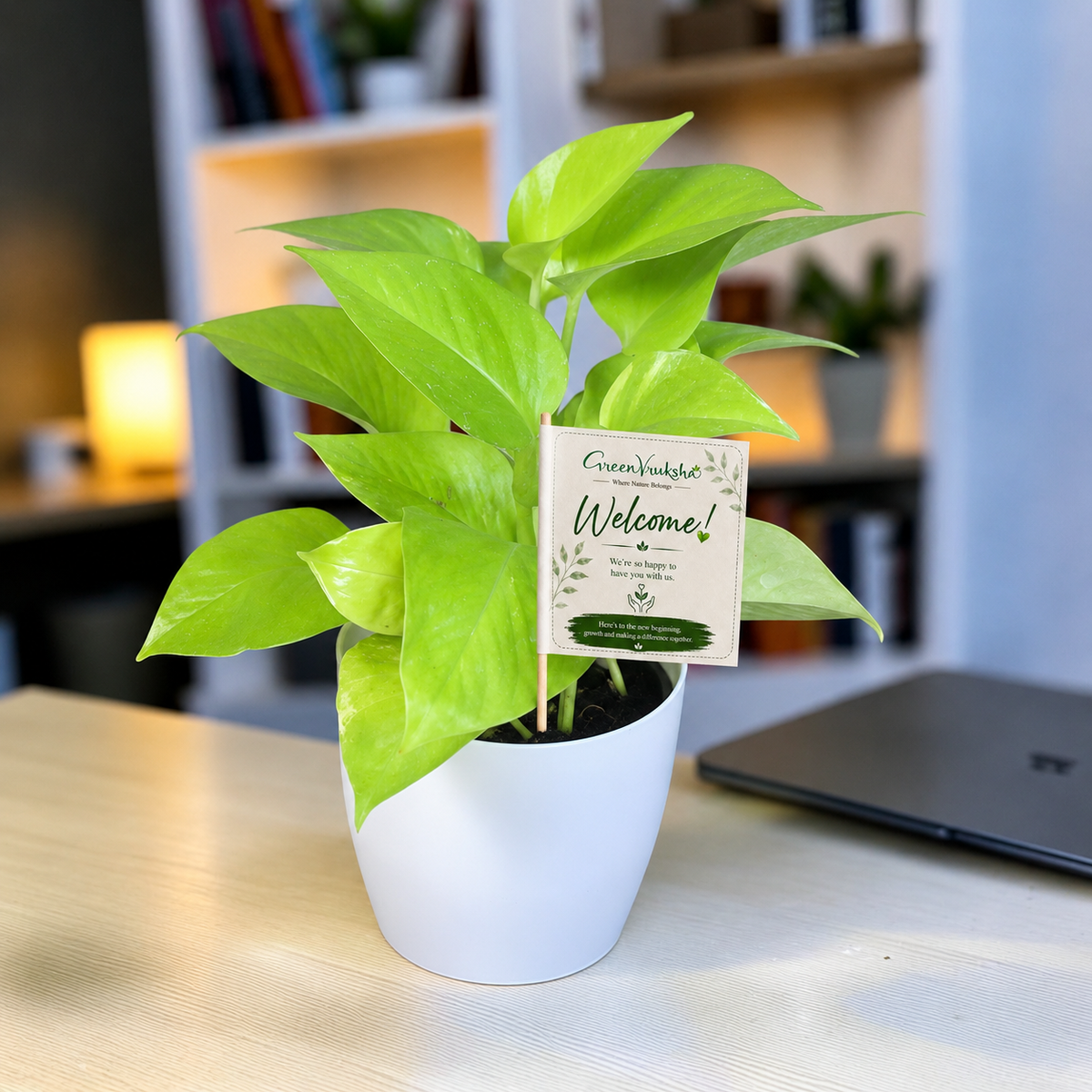 Golden First Desk – Money Plant Golden Joining Gift