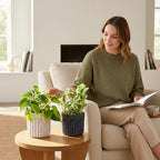 Greenvruksha Variegated Edit indoor plant set of two in textured white and black pots on a wooden table by a woman.