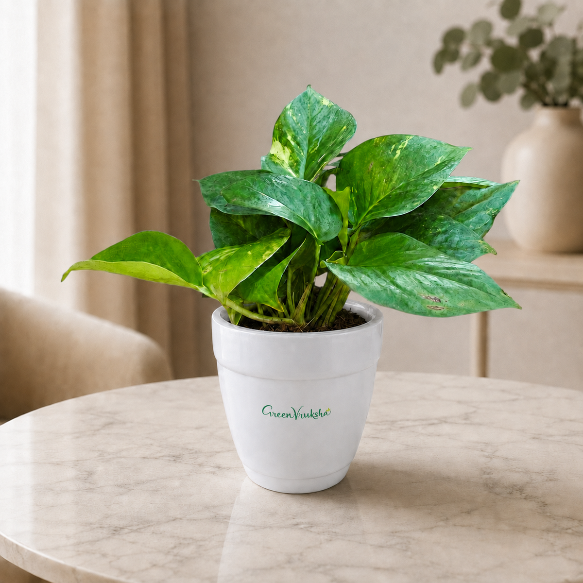 Logo Desk Green – Money Plant Green Branded Corporate Gift