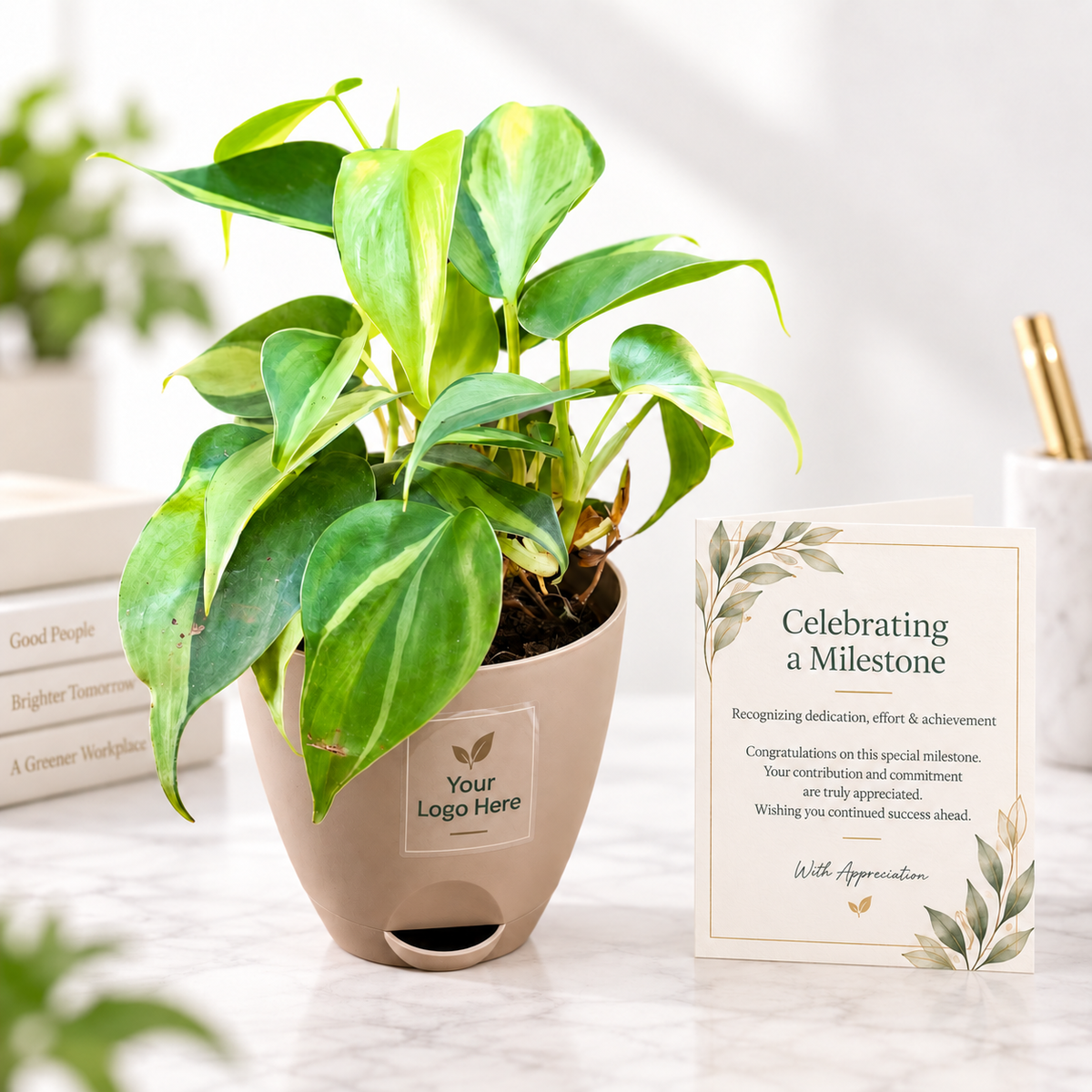 Milestone Leaf – Oxycardium Variegated Employee Gift