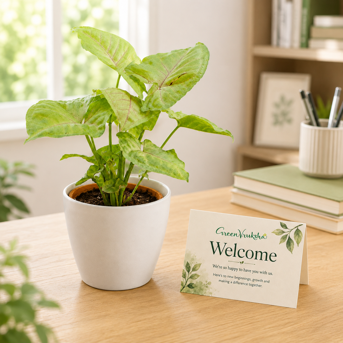 New Role Green – Syngonium Green Employee Welcome Gift