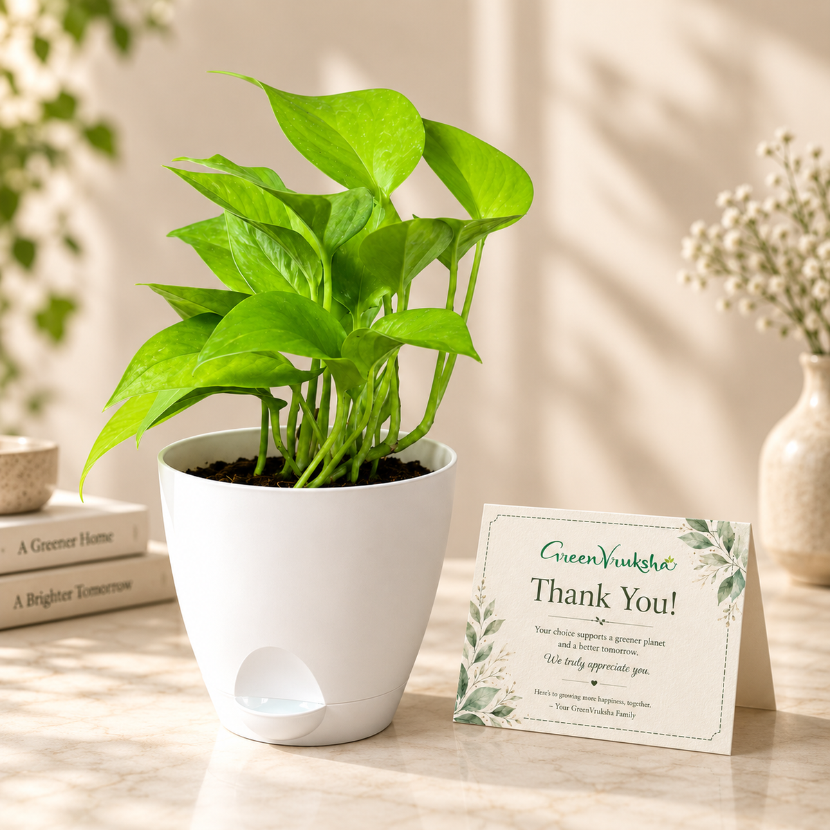 Quiet Thanks – Money Plant Green Employee Appreciation Gift